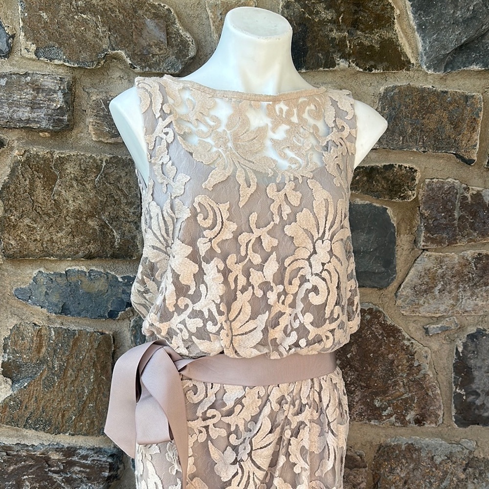 Tadashi Shoji Lace Overlay Dress Beige Nude Blouson Waist Size 8 Cocktail - Picture 3 of 7